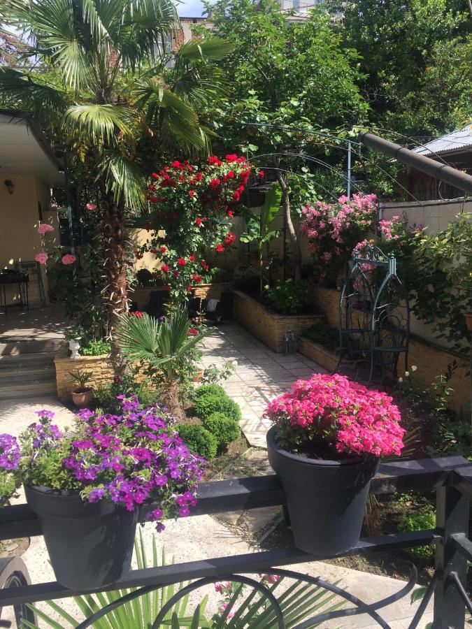 第比利斯House 41住宿加早餐旅馆 外观 照片
